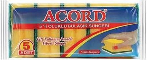 ACORD B.SUNGERI 5 LI resmi