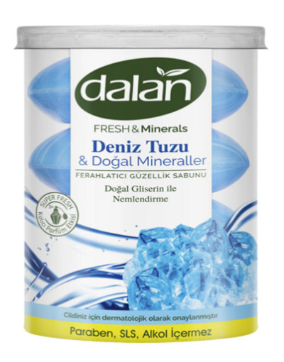 DALAN FRESH PVC SABUN 110 GR resmi