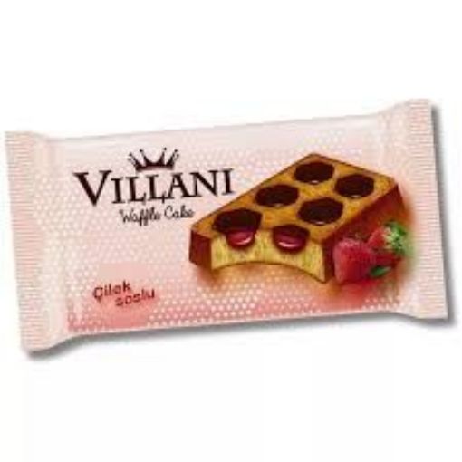 ANI VILLANI 40 GR resmi